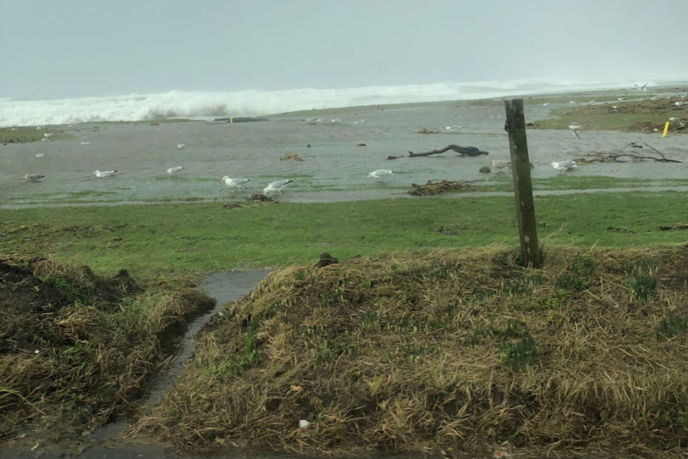 První jamka Machrihanish Golf Clubu (foto: Machrihanish Golf Club).