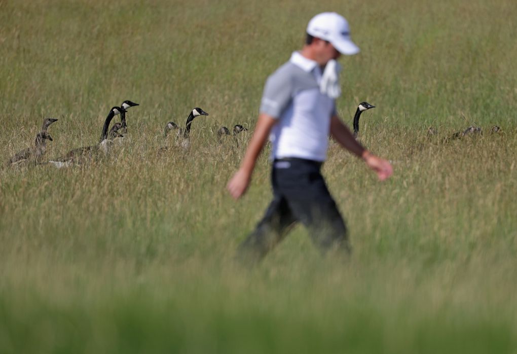 Erin Hills