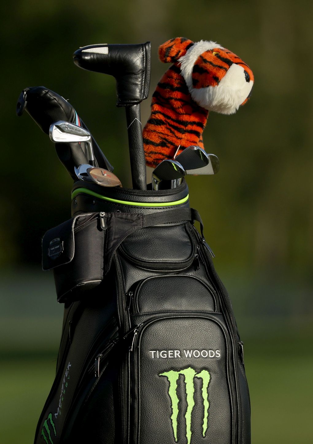 Tiger Woods