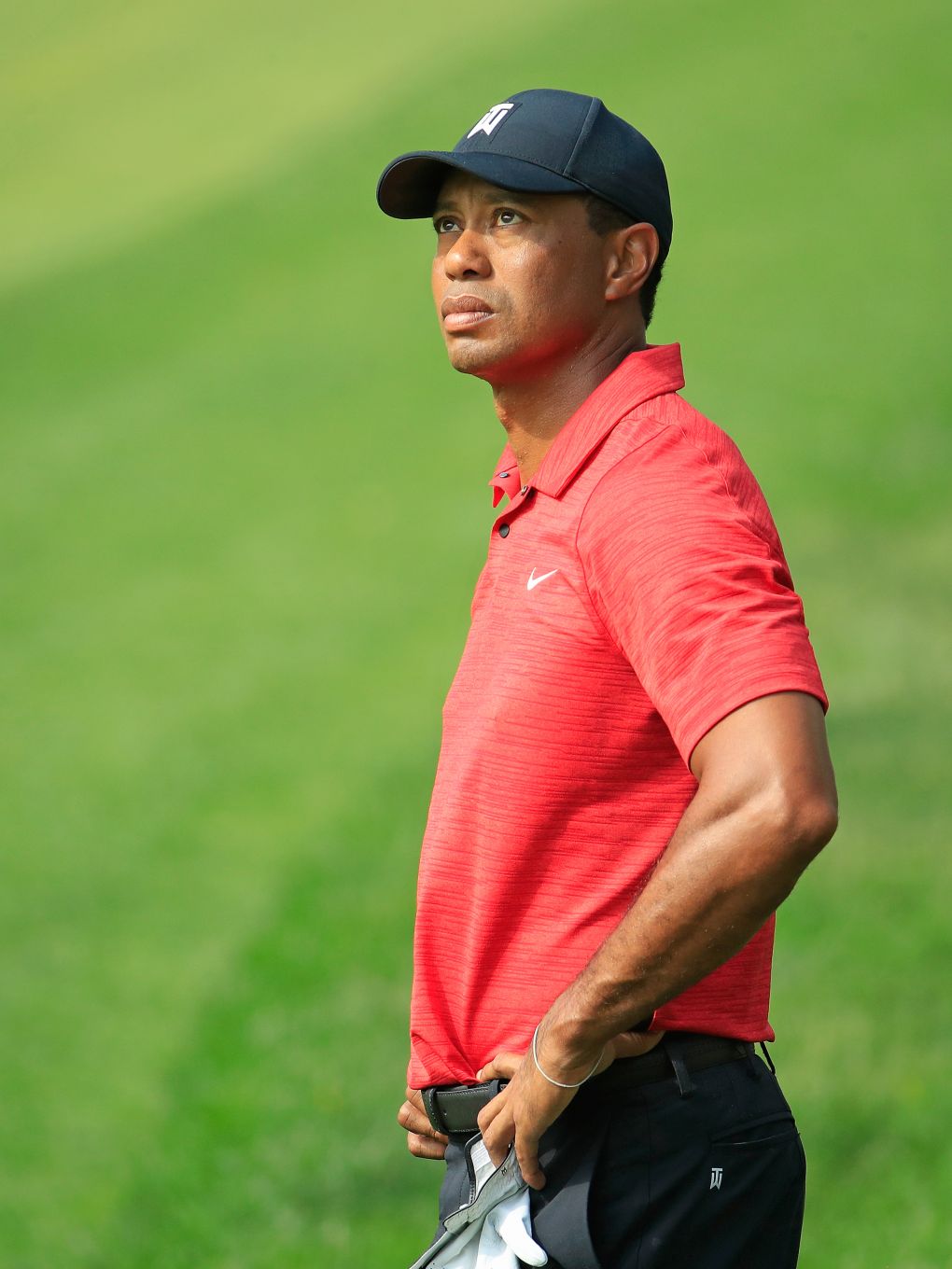 Tiger Woods