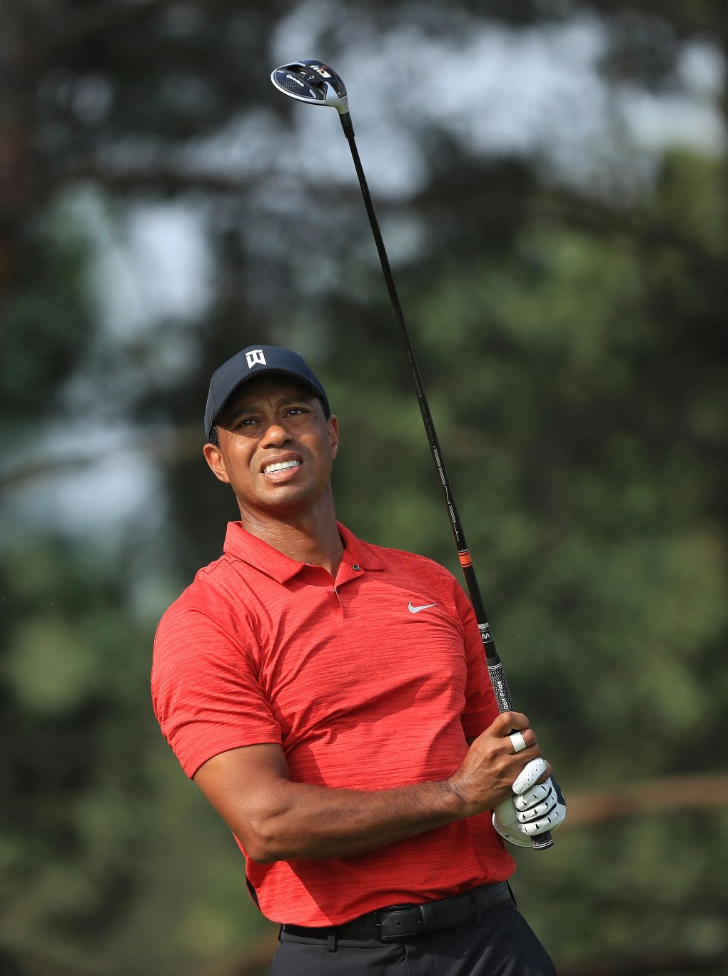 Tiger Woods