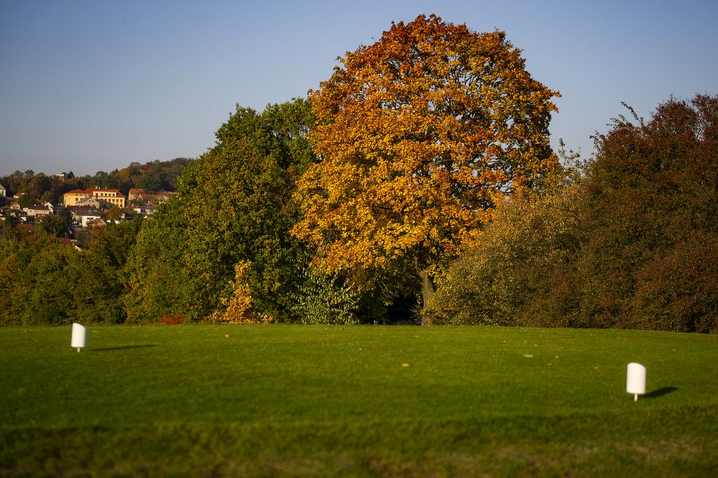 Pyšely