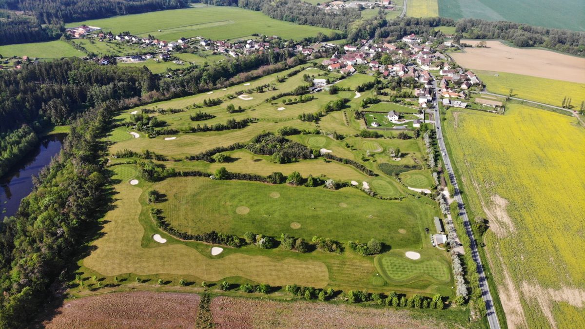 Hořehledy