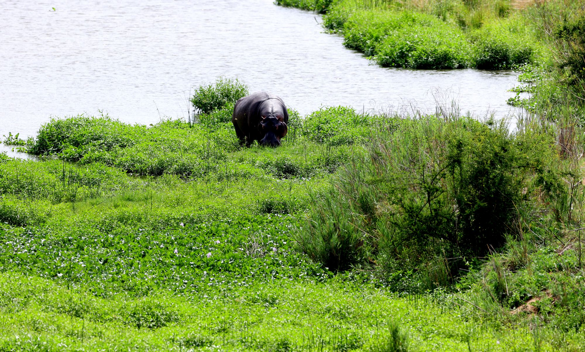 Leopard Creek Country Club