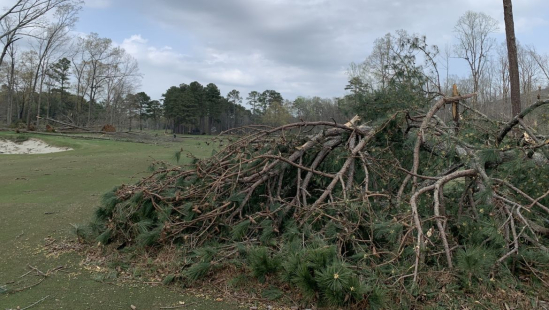 Shoal Creek