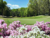 Pinetree Country Club